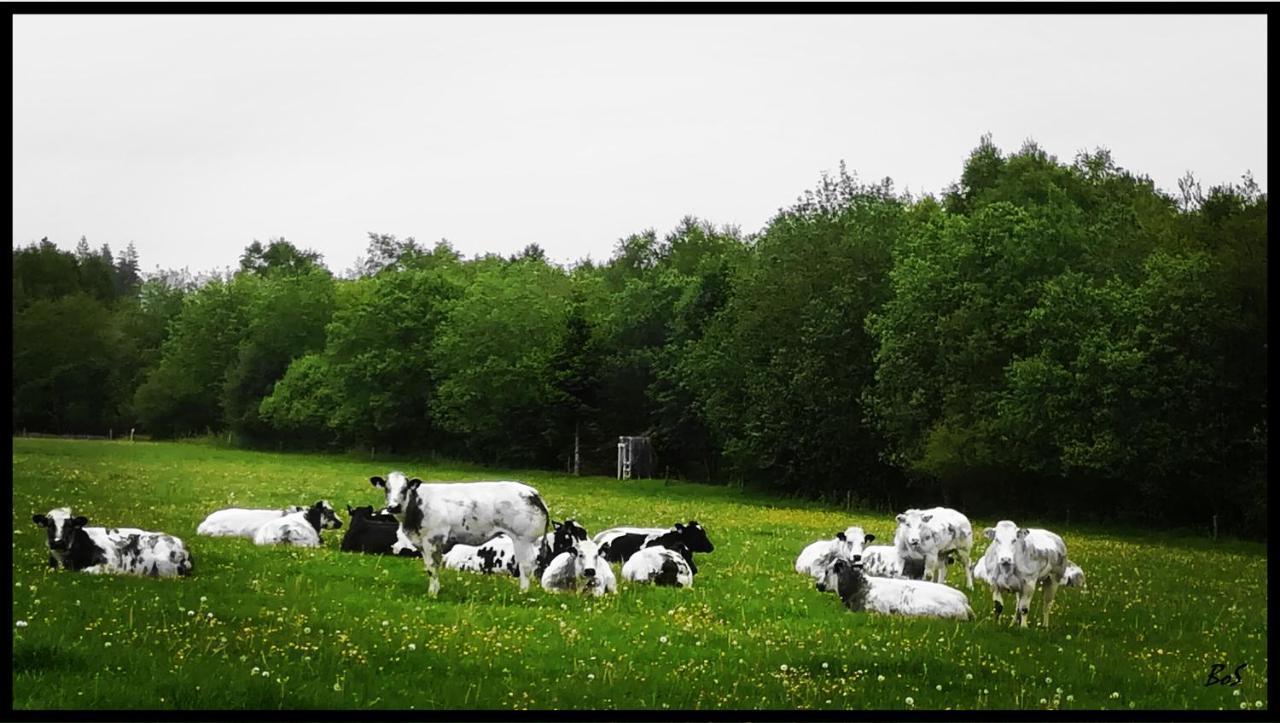 L'Ancienne Forge - Gite A La Ferme Sainte-Marie Esterno foto